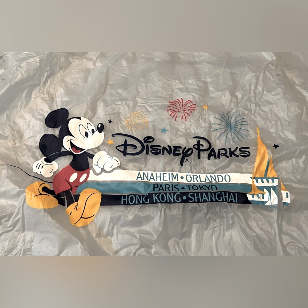 ☔️Adult Disney Rain Poncho – Classic & Fun 🏰